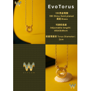 EvoTorus