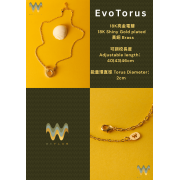 EvoTorus