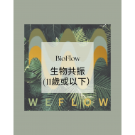 Bio-Flow 生物共振分析及調頻 (Kid)