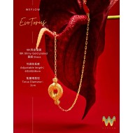 「赤馬重生」能量組合- EvoTorus