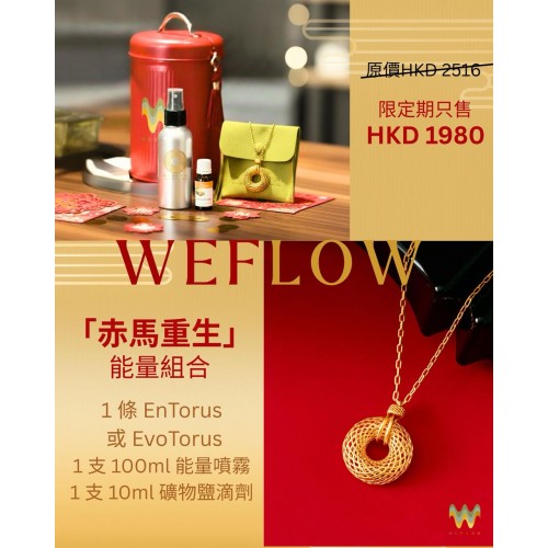  「赤馬重生」能量組合- EnTorus